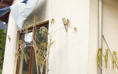 Dom z dużym stawem 166 m² – Opole Czarnowąsy | 2010 r., garaż, działka 1000 m² - Netdomy