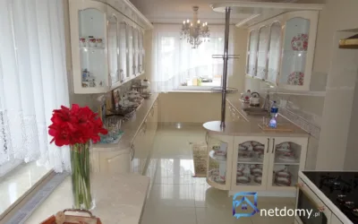 Opole Grudzice – dom 300 m² z garażem dwustanowiskowym i ogrodem, 2007 r. - Netdomy