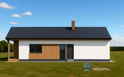 Dom w centrum Jaktorowa - Netdomy