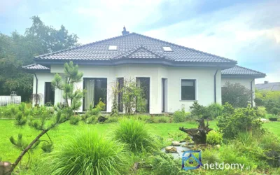 Dom wolnostojący z wbudowanym garażem - Netdomy