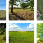 Na sprzedaż siedlisko z piękną działką w miejscowości Somsiory - Netdomy