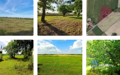 Na sprzedaż siedlisko z piękną działką w miejscowości Somsiory - Netdomy