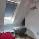 Gotowy dom 101 m² z ogrodem i fotowoltaiką w Zielonkach pod Krakowem - Netdomy