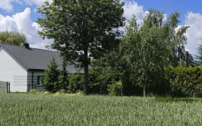 Dom parterowy – zdjęcie 2
