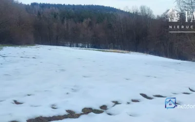 Działka na sprzedaż gorlicki Sękowa Siary