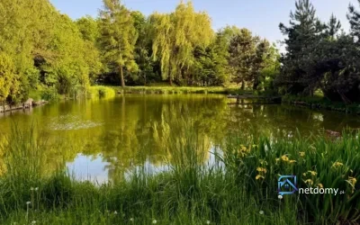 Działka na sprzedaż Zgierski Stryków Kalinów
