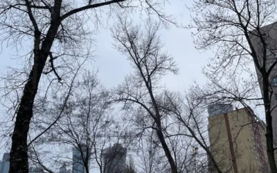 Mieszkanie na wynajem Warszawa Wola Mirów